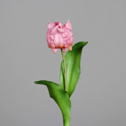 Kunstblume Tulpe in fuchsia