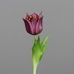 Kunstblume Tulpe in lavender