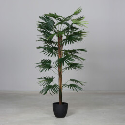 Künstliche Fächer Palme, grün, 145 cm