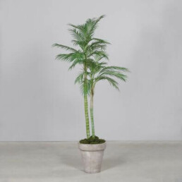 Künstliche Palme ca. 210cm groß