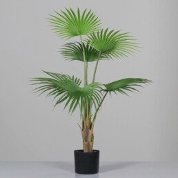 Künstliche Fächerpalme, 105 cm