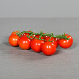 Cherry Tomaten, 20cm