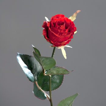 42136-02.jpg