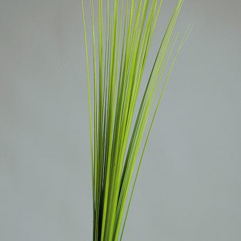52251_V.jpg