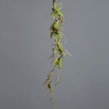52207_2.jpg