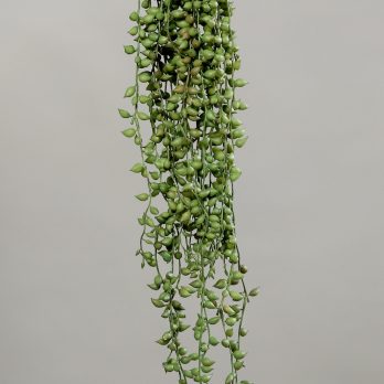 54932_V.jpg