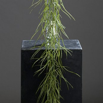 54397_V.jpg