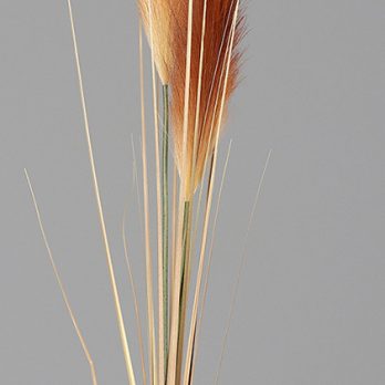 55110-3_H.jpg