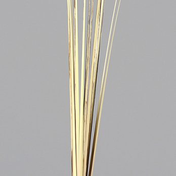 52251-76_H.jpg