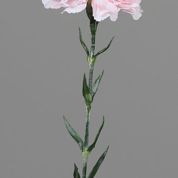 43934-31_V.jpg