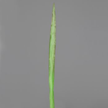 89069-01.jpg