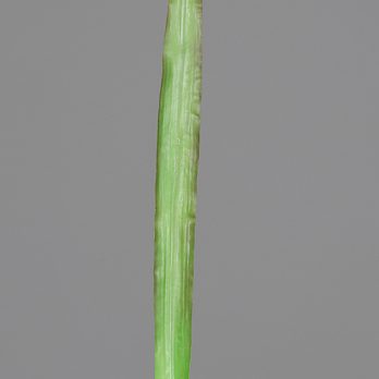 89069-01_V.jpg