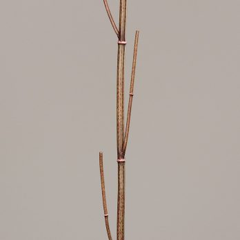 52757-58_V.jpg