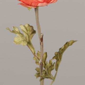 44004-22_V.jpg
