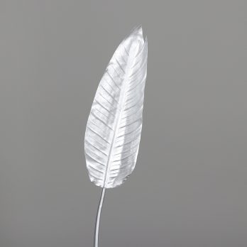89121-97.jpg