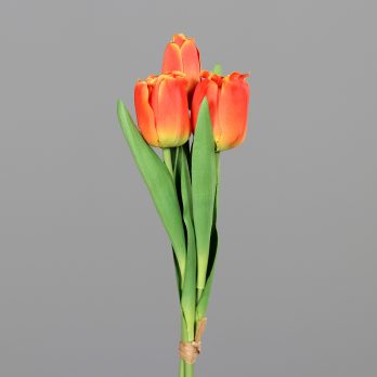 35099-18.jpg