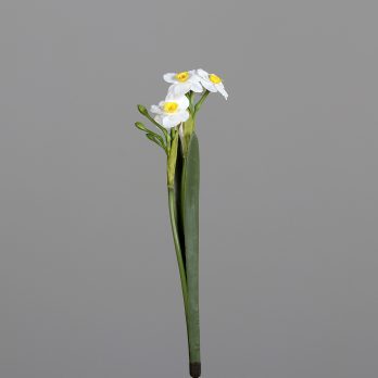 35923-45.jpg
