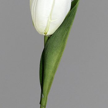 35896-05_H.jpg