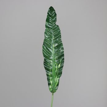 89170-3.jpg