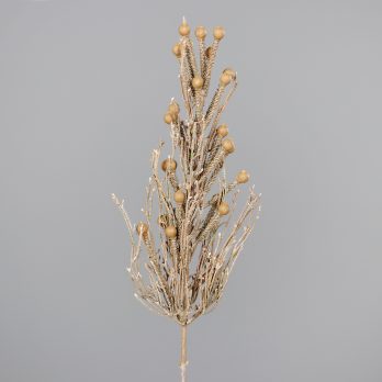 89219-76.jpg