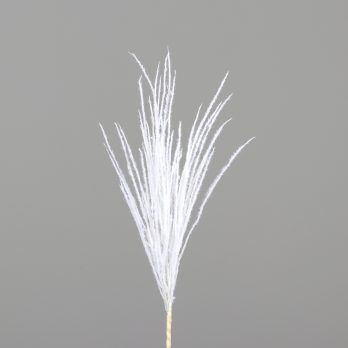 89221-19.jpg