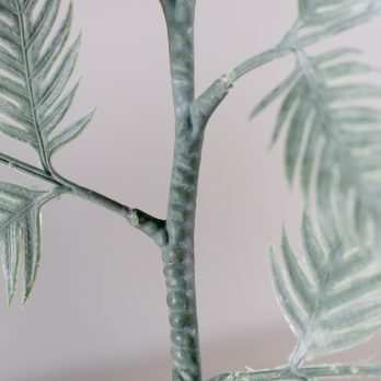 57886_C.jpg