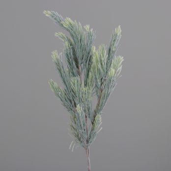 313022.jpg