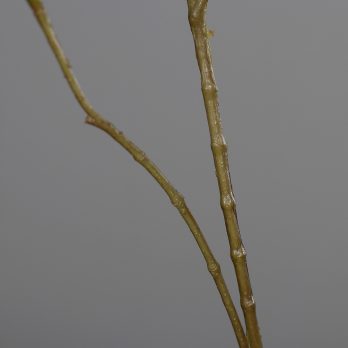 28266-88_C.jpg