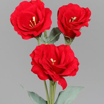 25672-02_H.jpg