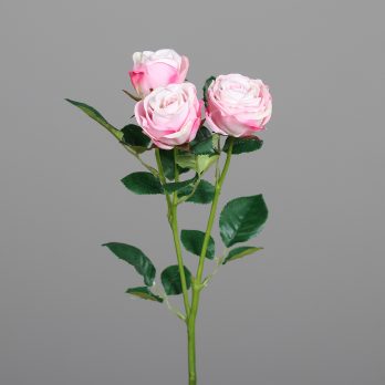 43193-03.jpg