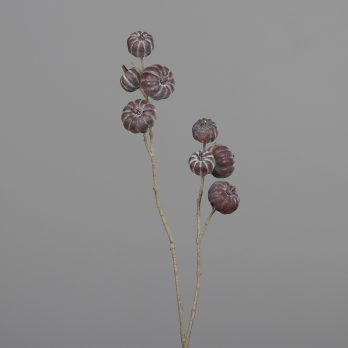 65333-88.jpg