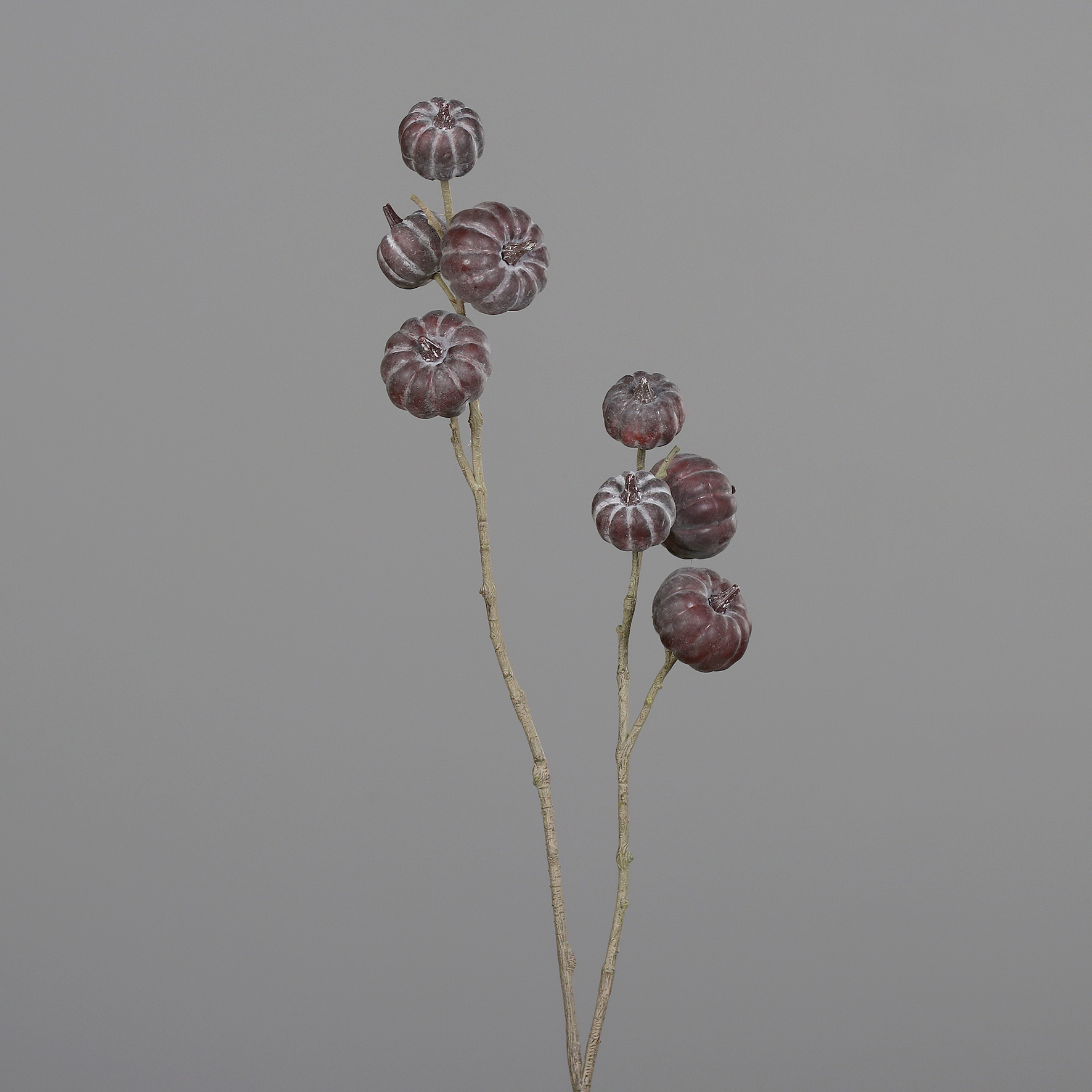 65333-88.jpg