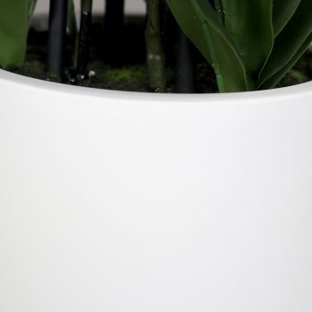 60376-05_G.jpg