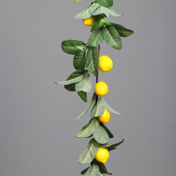 44063