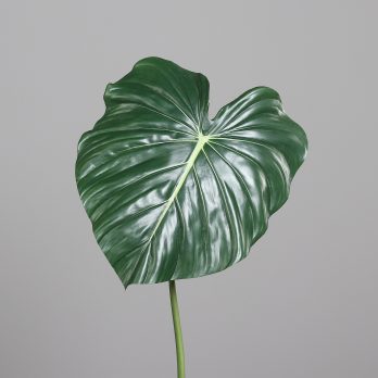 55415