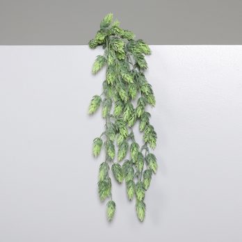 55540