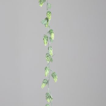 55541