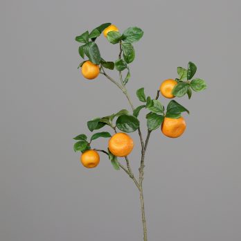 55607