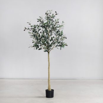 55633