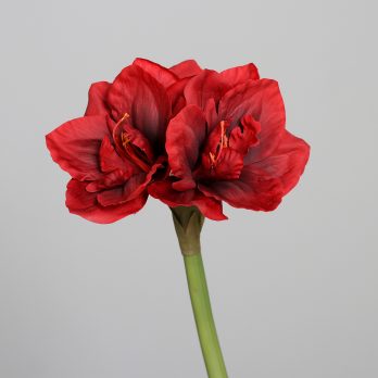 25785-02