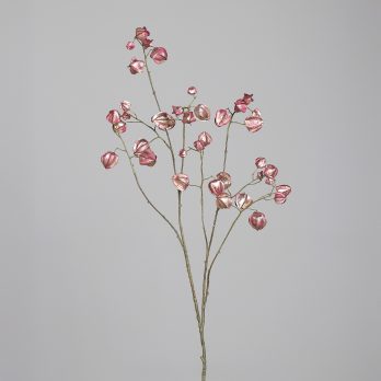 25813-17