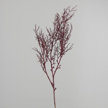 25960-12