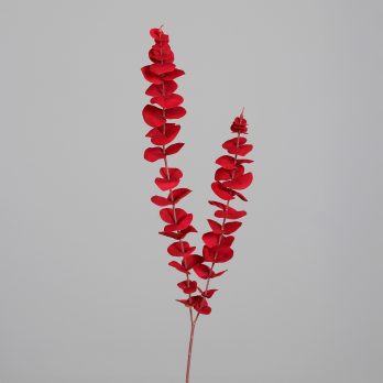 26012-02