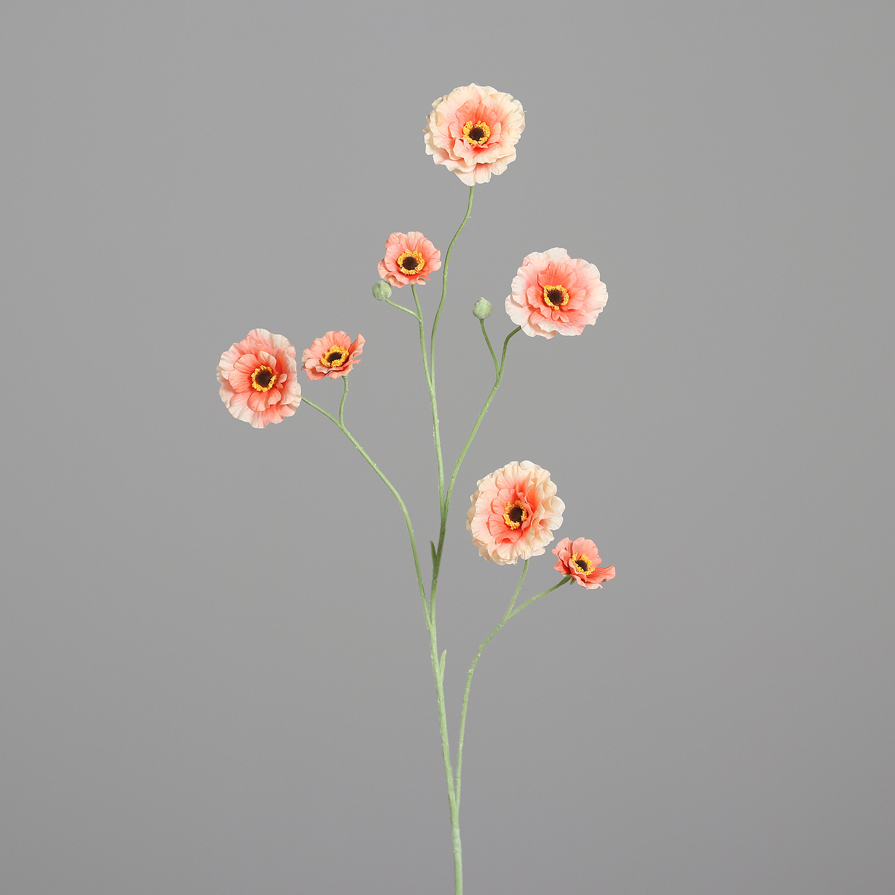 43201-22