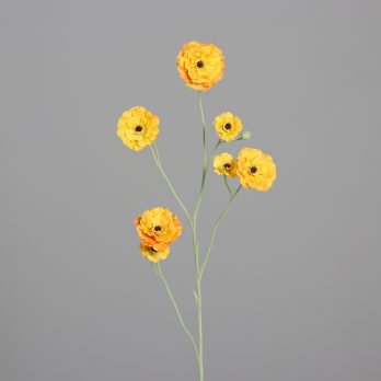 43201-43