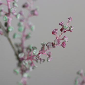 55538_A