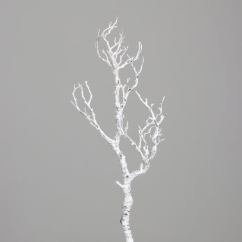 55626_A