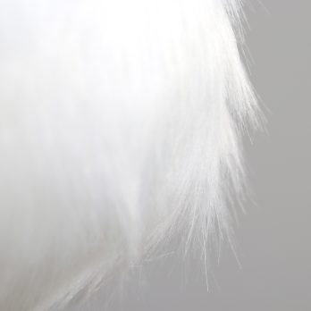 25887-19_A