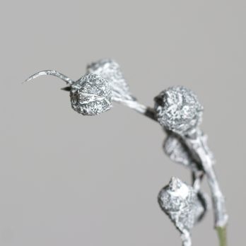 55628_B