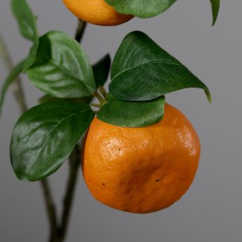 55607_C